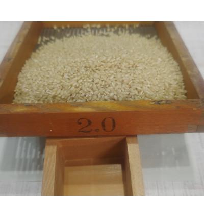 ふるさと納税 輪之内町 輪之内町産　厳選米ハツシモ　白米5kg |  | 01