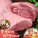 【ふるさと納税】【12回定期便】豚帝 リブ ロース & ロース ブロック 約1kg【KRAZY MEAT(小田畜産)】[ZCP092]