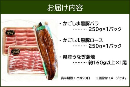 106-05 かごしま黒豚しゃぶしゃぶ用2パック・鹿児島県産ウナギ1尾のプチ贅沢セット