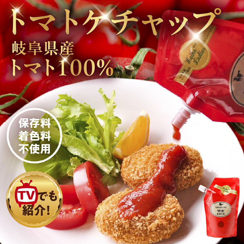 【ふるさと納税】本格ケチャップ「明宝トマトケチャップ」1本～4本 ケチャップ 調味料 トマトケチャップ 人気 ケチャップ オススメ トマト とまと けちゃっぷ 保存料不使用 着色料不使用 無添加 お取り寄せ ギフト 贈り物 贈答 パウチ トマトソース ピザ 岐阜県 郡上市