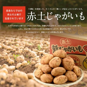 長島のミネラル栽培じゃがいも(計10kg)【エグチベジフル(株)】eguchi-7019