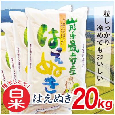 ふるさと納税 最上町 【令和7年産先行受付】山形県産はえぬき20kg(白米)