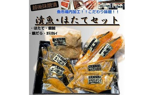 
【魚市場直送】越後味噌漬　漬魚切身(銀鮭切身　100g×2切・ギンダラ切身　100g×2切・カラスカレイ切身　100g×2切)+ボイルほたて(50g×4玉)セット
