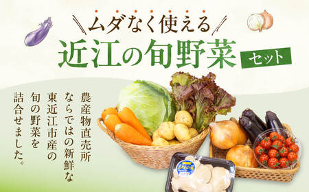 野菜 野菜セット JAグリーン近江 東近江市産 野菜 セット A14 グリーン近江農業協同組合 東近江 ひがしおうみ