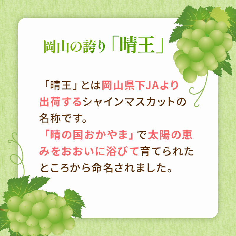 ぶどう 2024年 先行予約 シャイン マスカット 晴王 3房～6房 約2kg ブドウ 葡萄  岡山県産 国産 フルーツ 果物 ギフト