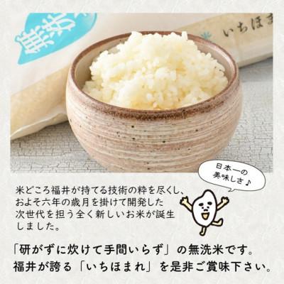 ふるさと納税 坂井市 【令和6年産】福井県のブランド米 いちほまれ 無洗米 5kg[A-6108] |  | 02