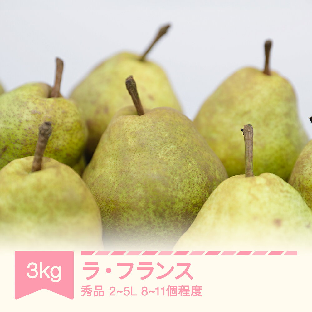 【ふるさと納税】ラ・フランス 秀品 2L～5L 約3kg (8~11個入り) 2026年産 令和8年産 nf-lasyx3