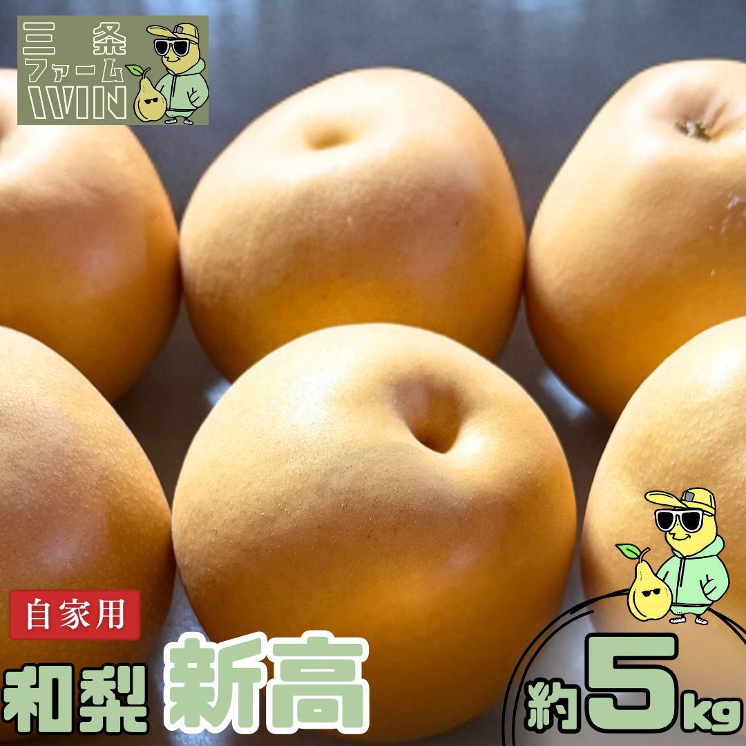 【ふるさと納税】和梨 新高 自家用 約5kg 令和8年度 新潟フルーツ 新潟県産 梨 [三条ファームWIN] 【010S839】