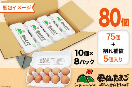 BI025 雲仙たまごLサイズ  80個 (10個入り×8パック)(75個＋割れ補償5個入り)
