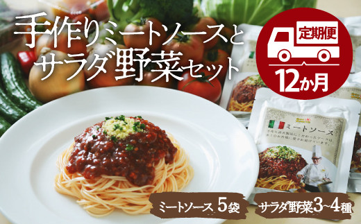
            野菜定期便（サラダ野菜・ミートソース）【全12回】シェフの目線で厳選！ サラダ野菜セット×シェフ自慢のミートソース（135g×5袋）大洲市/（有）ヒロファミリーフーズ [AGBX031] 野菜定期便 野菜 定期便 野菜 詰め合わせ ミートソース スパゲッティ サラダ  野菜
          