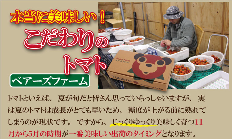 熊太郎とまと （1kg）甘さ 濃縮 トマト 塩 スパルタ 栽培 ビタミン豊富 採れたて　ベアーズファーム 佐賀県産 tomato トマト
