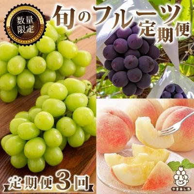 ふるさと納税 山梨市 【発送月固定定期便】2026年発送 山梨 旬の果物 桃+種無し黒ぶどう+シャインマスカット 全3回