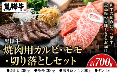 黒毛和牛 焼肉用カルビ・モモ・切り落としセット|杉本本店