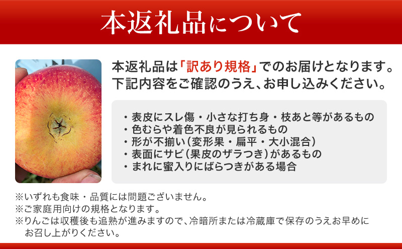 【先行予約】【訳あり・家庭用】長野県産 サンふじ 約3kg りんご リンゴ 不揃い 味は問題なし 家庭用 季節のフルーツ 果物 長野県 信州