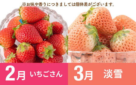 【R8年2月以降発送】【全5回定期便】赤白いちご3種と佐賀牛のセット / いちご [IZZ026]