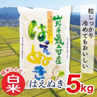 ふるさと納税 最上町 【令和7年産新米受付】山形県産はえぬき5kg(白米)