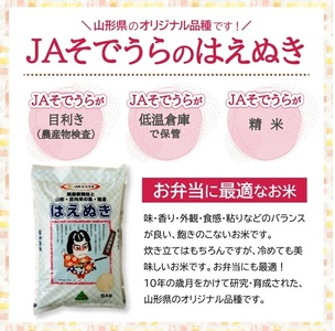 SE0583　【3回定期便】［精米］はえぬき　5kg×3回(計15kg) JS