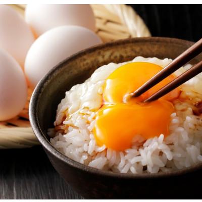 ふるさと納税 養父市 令和7年産【蛇紋岩銀粒　彩りの舞5kg】 |  | 02