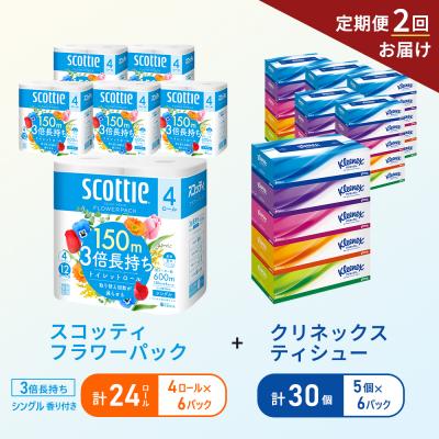 ふるさと納税 岩沼市 【6ヶ月ごと計2回お届け】ティッシュ+トイレットペーパー6P[No.5704-1797]