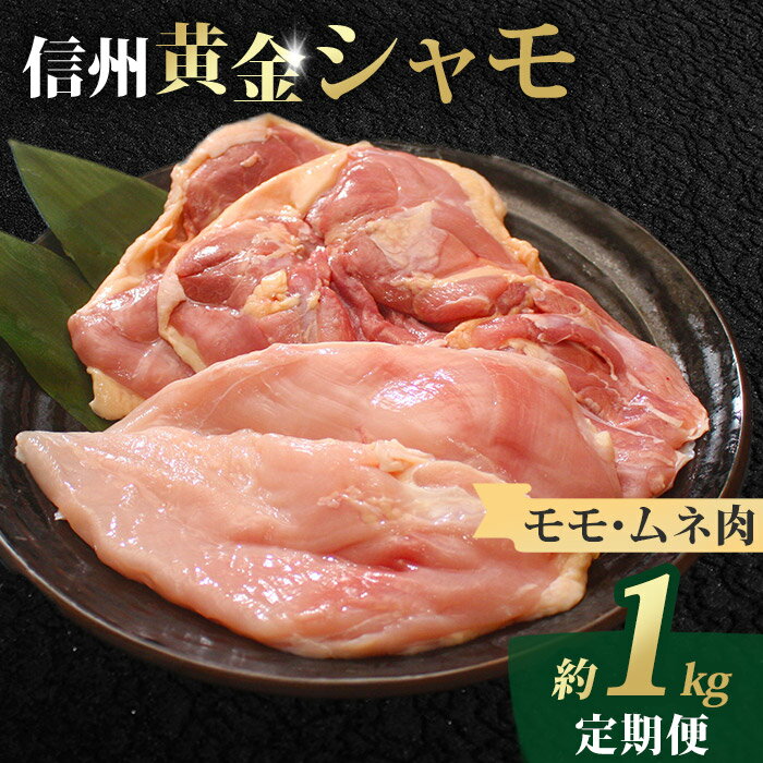 【ふるさと納税】【定期便 】信州黄金シャモモモ・ムネ肉セット合計約1kg｜グランドチャンピオン地鶏 軍鶏 鶏肉 冷凍