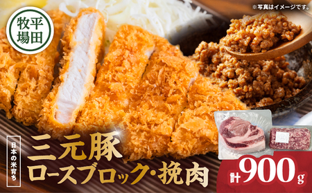 日本の米育ち平田牧場 三元豚ロースブロック（600g）・挽肉（300g）計900g　T036-009 肉 お肉 にく 食品 苫小牧市産 人気 おすすめ 送料無料 ギフト