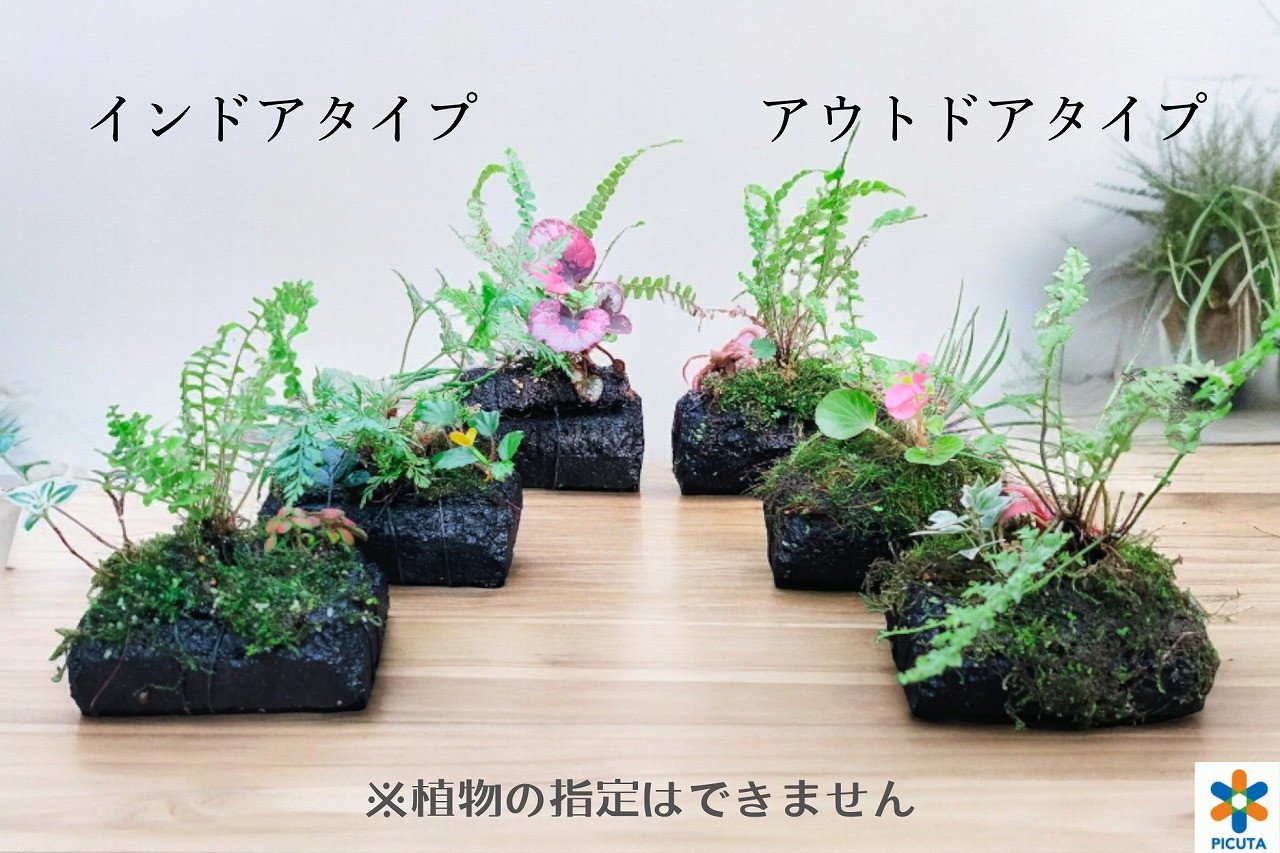 ビオトープ