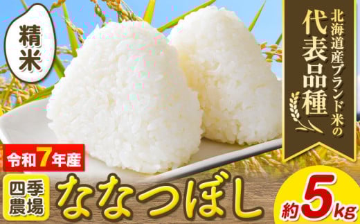 [1.3-197]【令和7年産先行予約】精米ななつぼし5kg 北海道 当別町 お米 米 精米 《10月末～（新米収穫出来次第、出荷）》