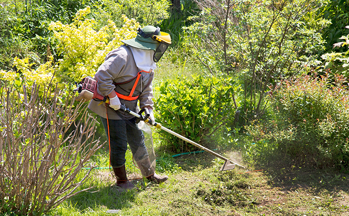 【要事前連絡】「空き地の草刈り（100㎡）」サービス＜愛知県日進市内限定＞