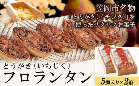 とうがきフロランタン 2箱 お菓子 フロランタン