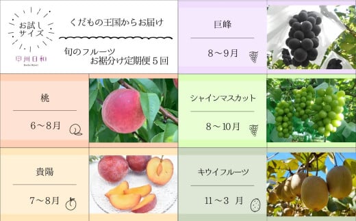 【定期便】旬のフルーツお裾分け定期便5回（KSB）E-109 【桃 もも モモ 貴陽 すもも スモモ 巨峰 シャインマスカット 葡萄 ぶどう ブドウ 期間限定 山梨県産 甲州市 フルーツ 果物】