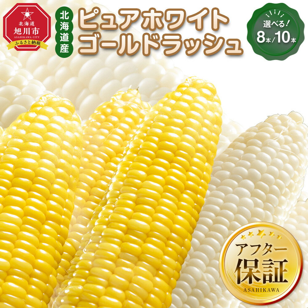 【ふるさと納税】【2026年先行予約】人気のとうもろこしコラボセット!　ピュアホワイト×ゴールドラッシュ各8本又は10本（2026年8月下旬から発送開始予定） | 野菜 やさい 食品 人気 おすすめ 送料無料