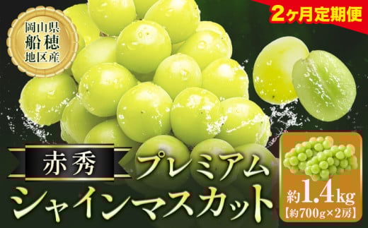 【2ヶ月定期便】ぶどう シャインマスカット 赤秀 プレミアム 晴王 1.4kg 2房 マスカット岡山《2026年9月上旬-10月末頃出荷》岡山県 浅口市 送料無料 フルーツ 果物 マスカット お取り寄せフルーツ【配送不可地域あり】 st-p