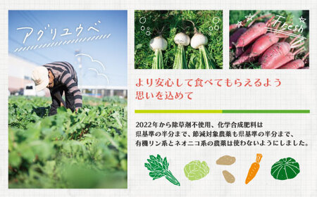 【 2回定期便 早期受付 数量限定 】アグリユウベの冬野菜セット (小) とれたて 新鮮 農家直送 国産 野菜 野菜便 やさい 野菜 冬野菜 産地直送 国産 旬 高知県 四万十市 四万十 しまんと 定