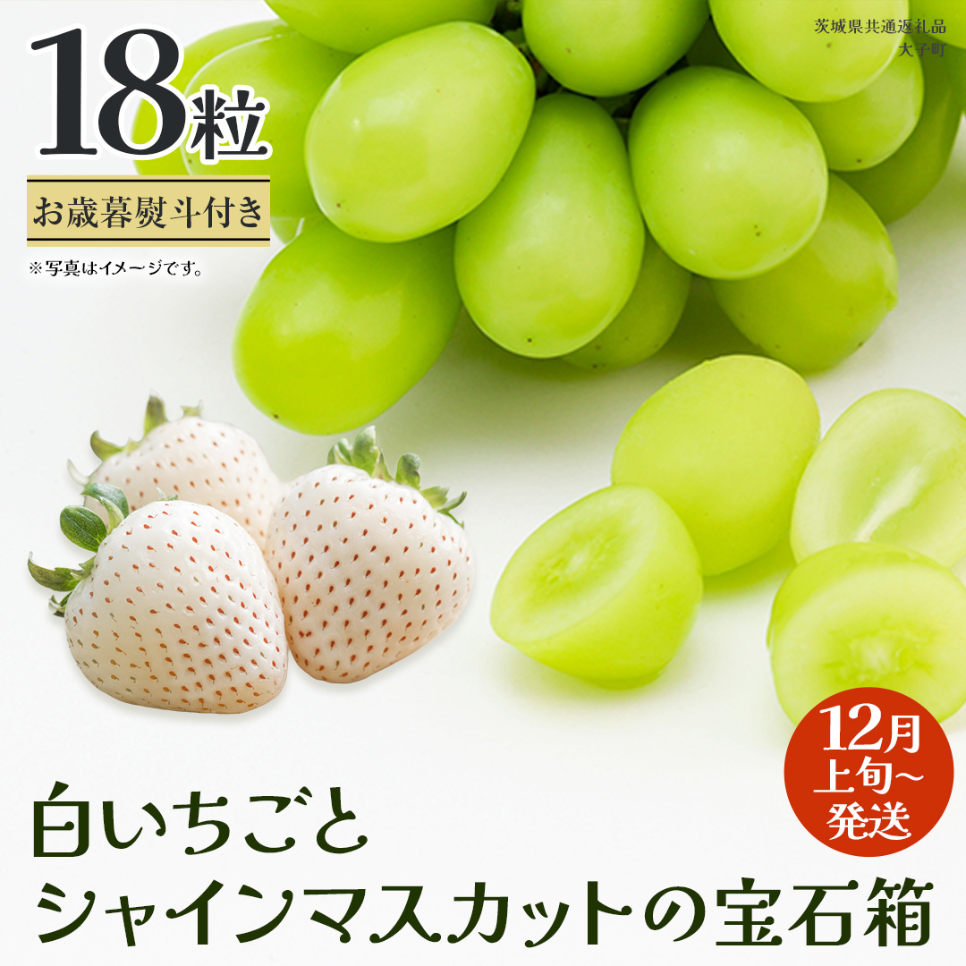 【 お歳暮 熨斗付き 】 白いちご と シャインマスカット の宝石箱 18粒 (茨城県共通返礼品：大子町) いちご マスカット 果物 フルーツ 旬 季節限定 期間限定 贈答用 ギフト 贈り物