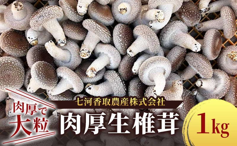 しいたけ 肉厚生椎茸1kg 椎茸 シイタケ 高品質 通年栽培 肉厚 大粒 しっかり 噛み応え きのこ 千葉市 千葉県