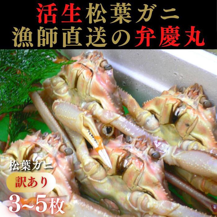 【ふるさと納税】松葉ガニ 訳ありBセット※着日指定不可※【弁慶丸】 | 鳥取
