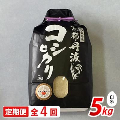 ふるさと納税 南丹市 【毎月定期便】新米 京都丹波産 コシヒカリ 5kg 精米全4回