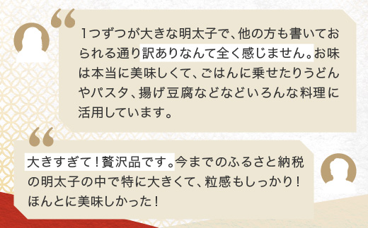 ☆TVで紹介されました☆ かねふく 明太子 訳あり 1kg 特上 切れ子 切子 めんたいこ 魚介類 めんたいパーク わけあり 規格外 不揃い 傷 家庭用