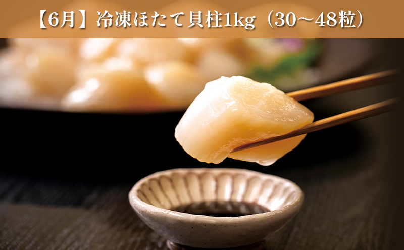 オホーツク枝幸の恵 海の幸 年6回 定期便 [2026年4月発送開始