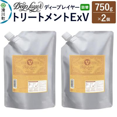 ふるさと納税 滑川町 ディープレイヤー トリートメント ExV 詰替 750g×2個|19_sss-380201