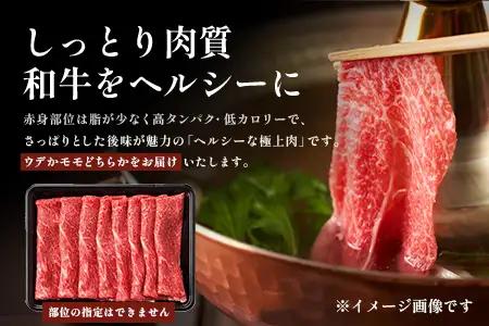 宮崎牛 赤身 スライス 約500g×1P［ウデまたはモモをお届け］すき焼き しゃぶしゃぶ 冷凍｜国産 牛肉 4等級以上 黒毛和牛 肉 お肉 ブランド牛 高級 株式会社ミヤチク 宮崎県 諸塚村 MY-0