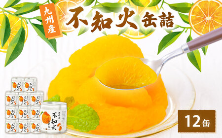 不知火缶詰 12缶入 007-031