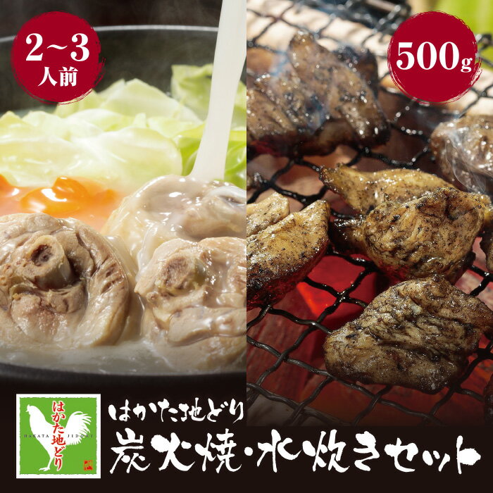 【ふるさと納税】 レビューキャンペーン はかた地どり 炭火焼500g＆水炊き(2〜3人前)セット 国産 ブランド肉 セット グルメ 鍋 送料無料