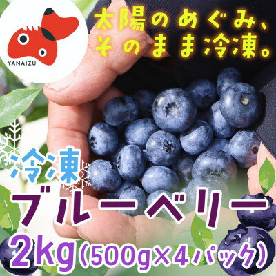 【ふるさと納税】冷凍ブルーベリー(500g×4パック)【配送不可地域：離島】【1362345】