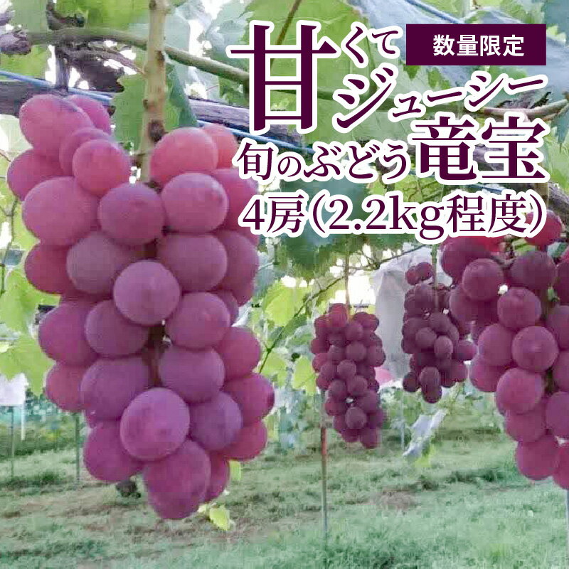 【ふるさと納税】【数量限定】 8月お届け ぶどう 4房 2.2kg 旬のブドウ 産直 フルーツ 果物 大きい房 竜宝 ジューシー 高糖度 甘い 柔らかい みずみずしい 冷蔵発送 お取り寄せ お取り寄せフルーツ 贈り物 ギフト 送料無料