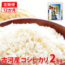 【ふるさと納税】【新米】【定期便 12か月】令和6年産 古河市産コシヒカリ 2kg◇｜米 コメ こめ ごはん ご飯 ゴハン 白飯 単一米 国産 コシヒカリ こしひかり 2kg 定期便 12ヶ月 12回 1年 茨城県 古河市_DP30