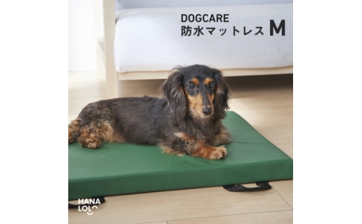 ドッグケア　床ずれ予防マットレス　M【1645675】