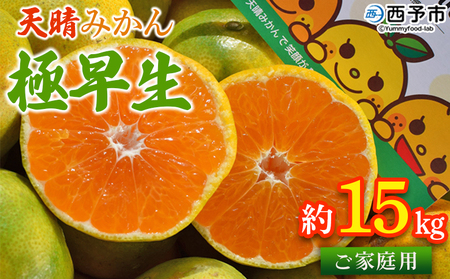 ＜天晴みかん 極早生 ご家庭用 約15kg＞ 柑橘 果物 フルーツ オレンジ 株式会社笑丸 ニコマル 期間限定 季節限定 食べて応援 特産品 温州みかん 家庭用 のし対応可 ジャム サラダ 愛媛県 西予市【常温】『2025年9月下旬～10月中旬迄に順次出荷予定』AAN0026