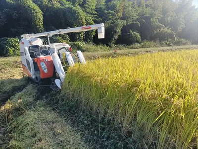 【令和7年産】『タガメの里・自然米』ぴかまる 玄米10kg 【有機JAS認証米】 | お米 おこめ 米 コメ こめ ぴかまる 玄米 有機JAS認証米 兵庫県 上郡町