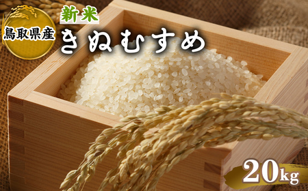 ＜先行予約受付中！2025年10月中旬～2026年8月下旬発送予定＞＜数量限定＞令和7年産新米鳥取県産きぬむすめ(20kg) 国産 米 お米 おこめ 白米 精米 おにぎり おむすび ごはん お弁当 常温 【sm-DD066】【Workplays】